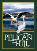 Pelican Hill Logo
