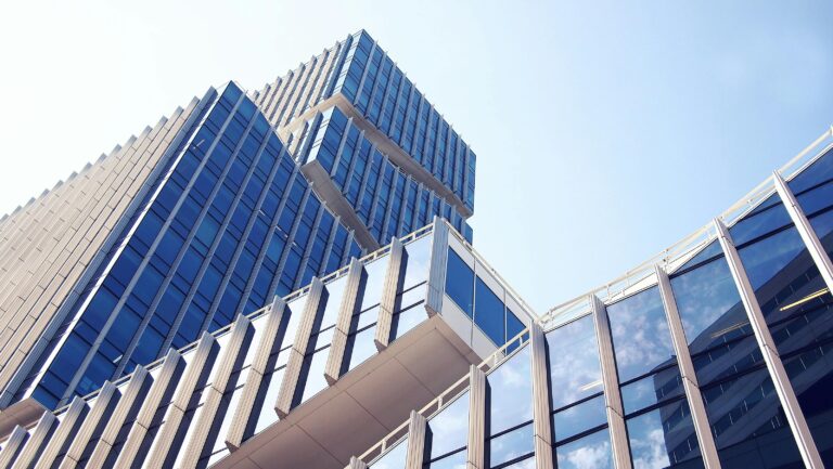 Vega Group’un Kuruluş Hikayesi: Güvene Dayalı Bir Yolculuk